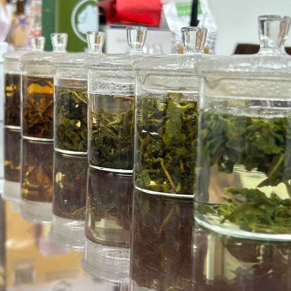 啤酒廠裡出現 #品茶課 